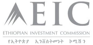 Asset 19