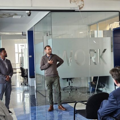 Diaspora Entrepreneurship Accelerator